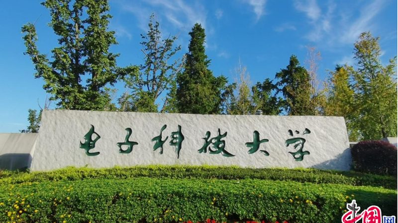 深圳继电器报价单背后的行业考量**